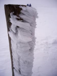Icicles stuck to the posts